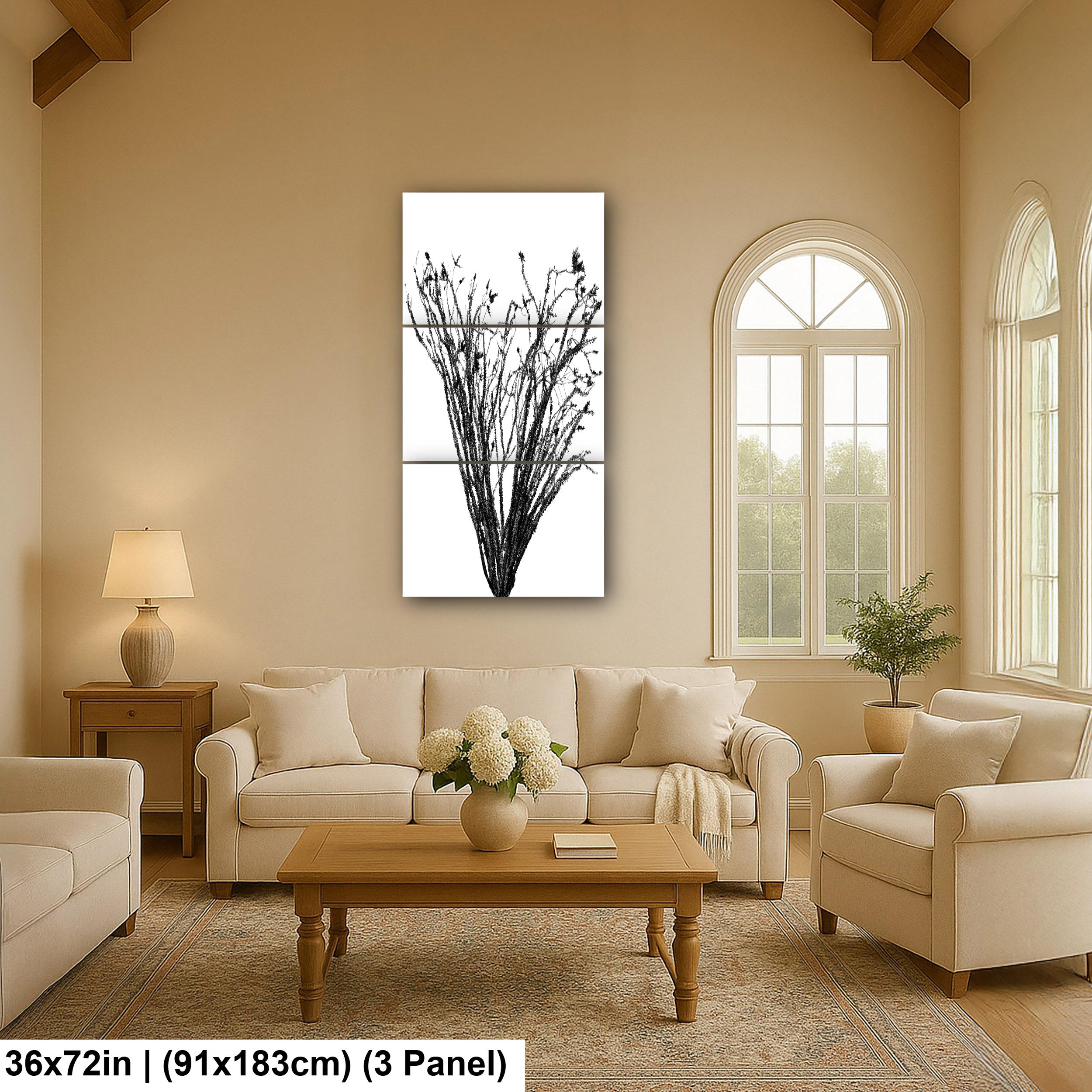 Ocotillo Cactus Silhouette Print: Black and White Desert Photography