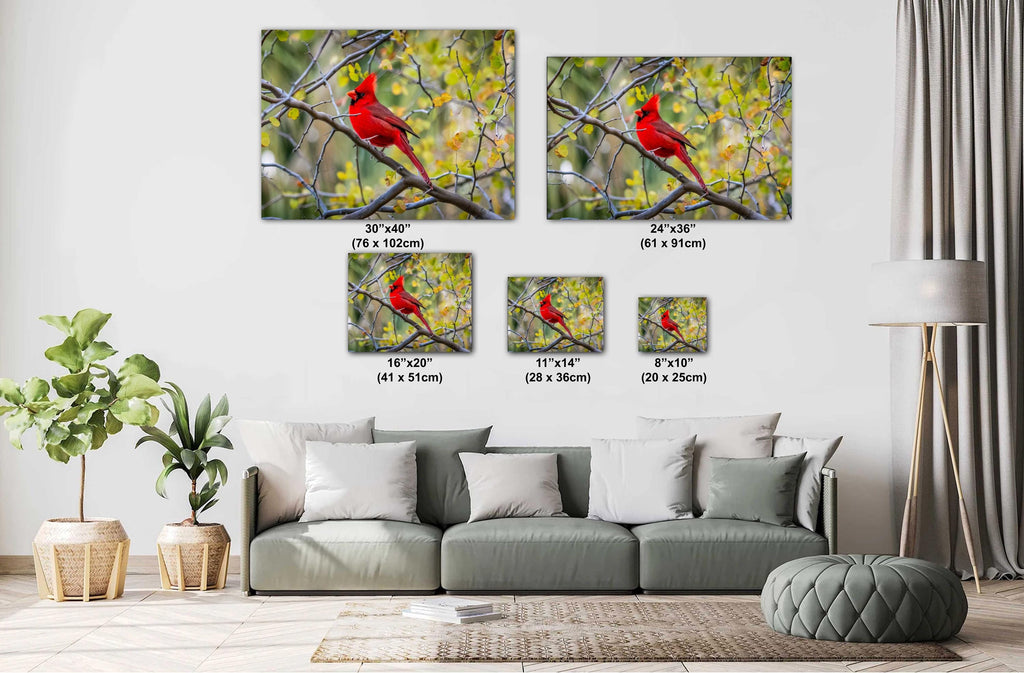 Red cardinals on branches displayed as wall art with size labels in a living room setting.