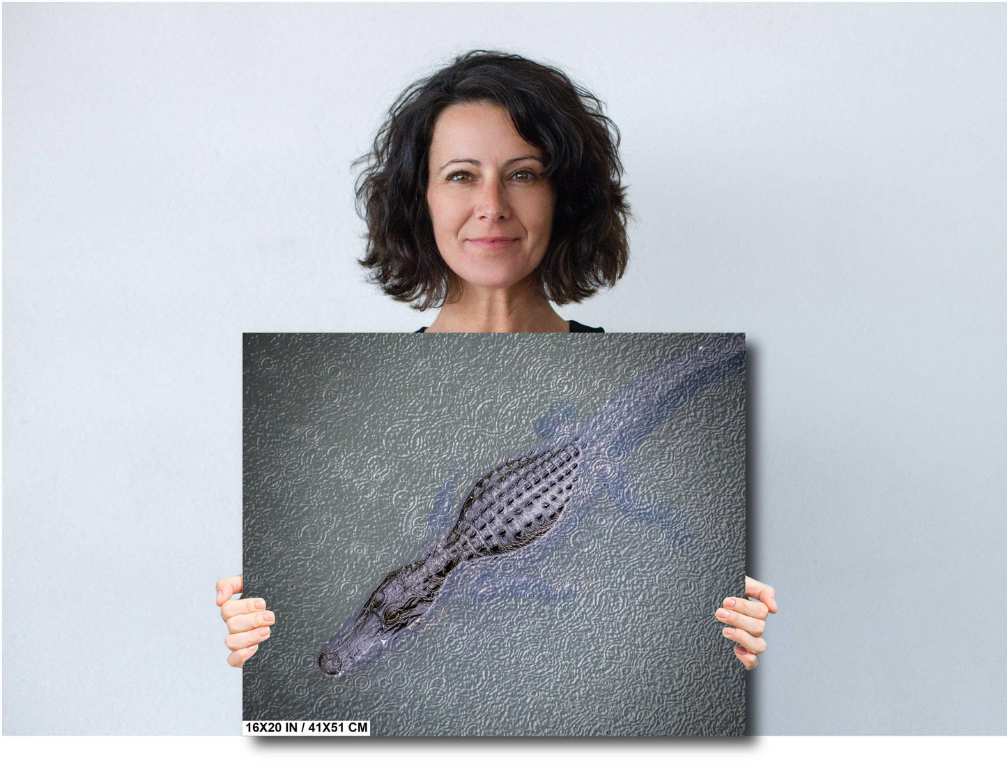 Eyes of the Everglades: Above an Alligator During Light Rain in Everglades National Park Florida Print Wall Art Aluminum/Metal/Canvas