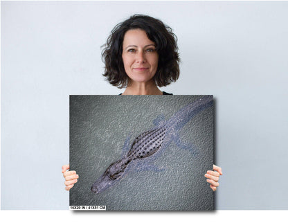Eyes of the Everglades: Above an Alligator During Light Rain in Everglades National Park Florida Print Wall Art Aluminum/Metal/Canvas