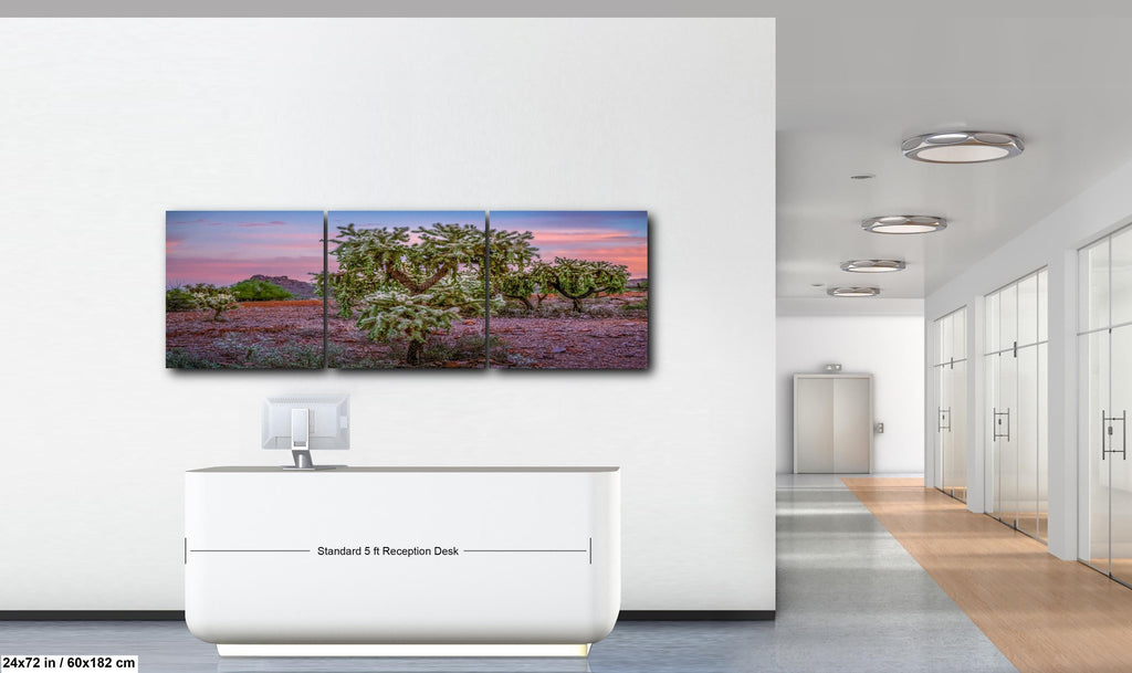 Cholla Cactus Sunset, Lost Dutchman State Park, Apache Junction Arizona Photography Wall Art