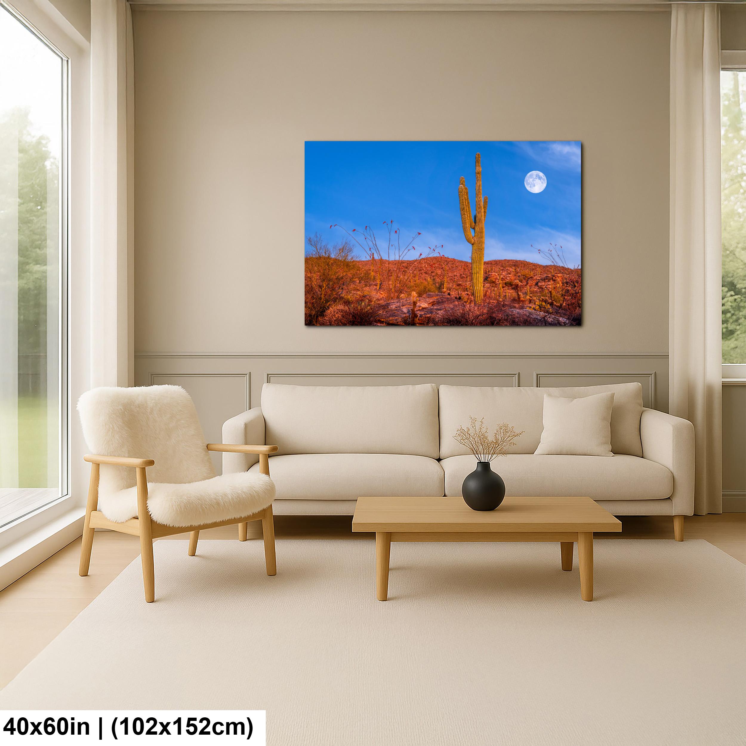 Sonoran Desert Full Moon with Saguaro Cactus Tucson Arizona Photography Print