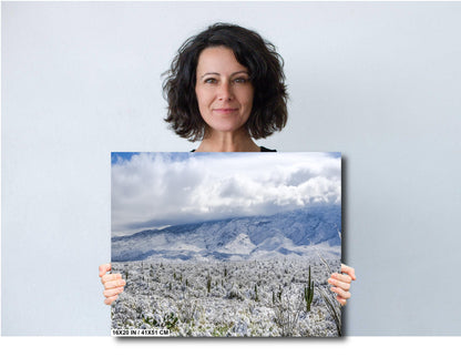 Saguaro National Park Print – Winter Saguaro Desert Wall Art With Snow