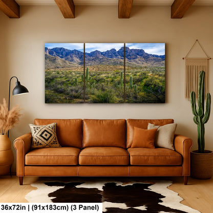 Catalina State Park Saguaros with Rocky Mountain Peaks - Tucson Arizona Sonoran Desert Photography Print