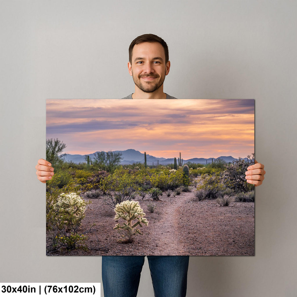 Spring Wildflowers and Saguaros at Sunset, Tucson Arizona Sonoran Desert Photography Print