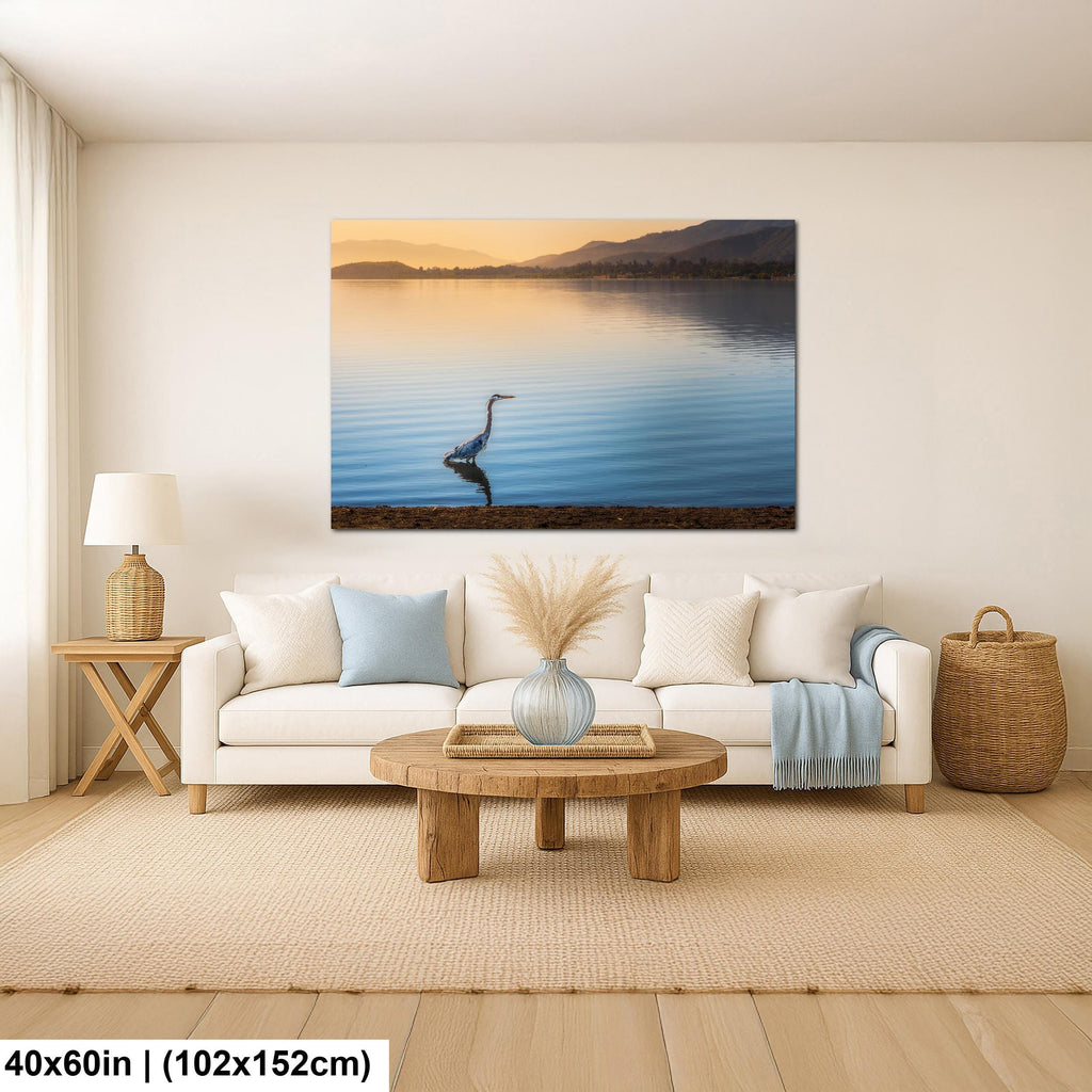 Lakeside Heron: Lake Elsinore California Wildlife Photography Wall Art