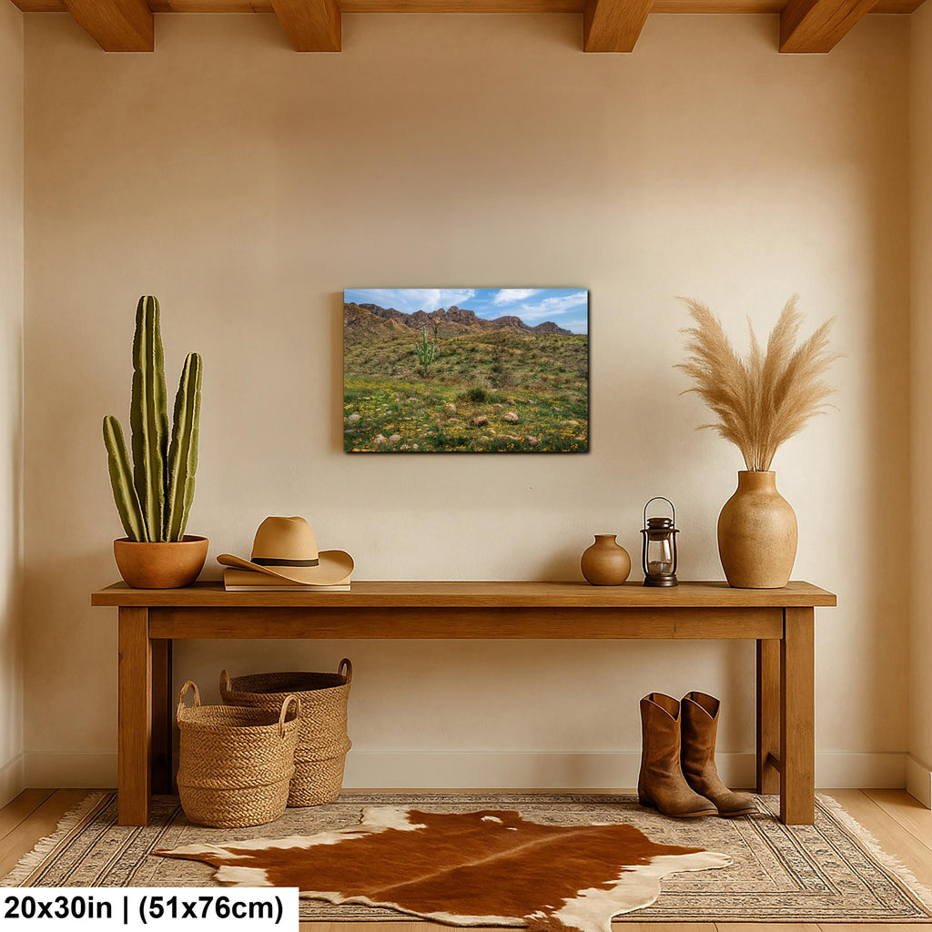 Arizona Desert Spring Wildflowers, Saguaro Mountain Landscape Wall Art, Sonoran Nature Photography Print
