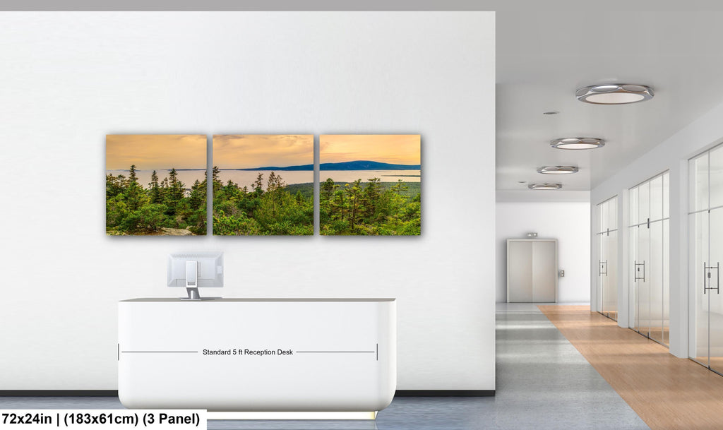 Coastal Overlook: Schoodic Peninsula Acadia National Park ME Photo Wall Art