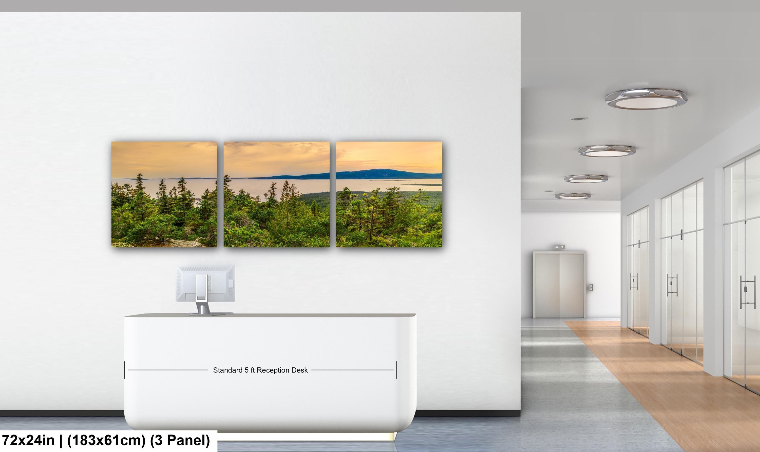 Coastal Overlook: Schoodic Peninsula Acadia National Park ME Photo Wall Art