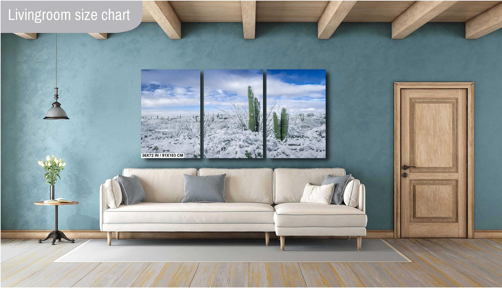 Saguaro National Park Winter Print: Arizona Desert Snow Photography