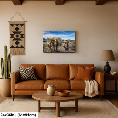 Teddy Bear Cholla Cactus Sonoran Desert Arizona Photography Print, Southwest Wall Art