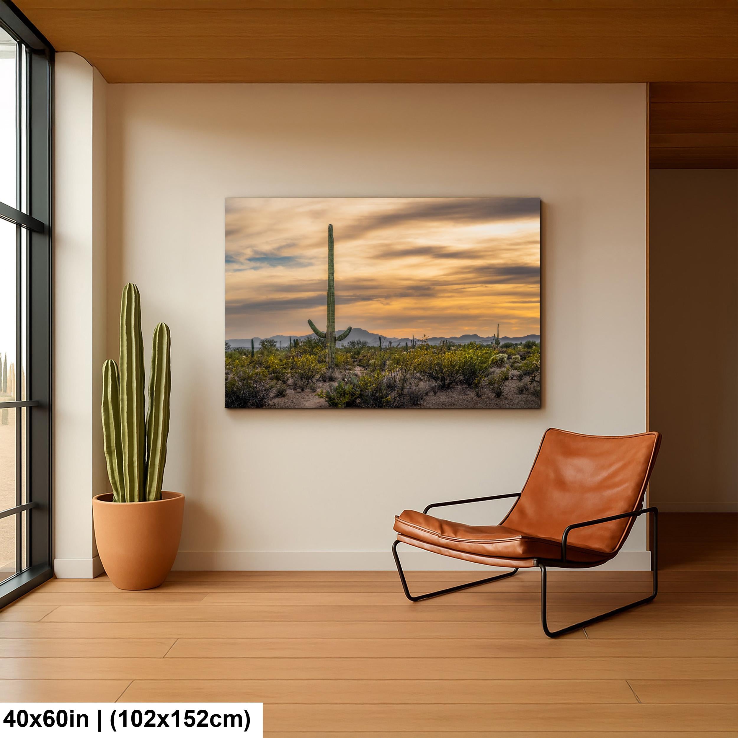 Sonoran Desert Sunset with Saguaro Cactus and Wildflowers Tucson Arizona Photography Print