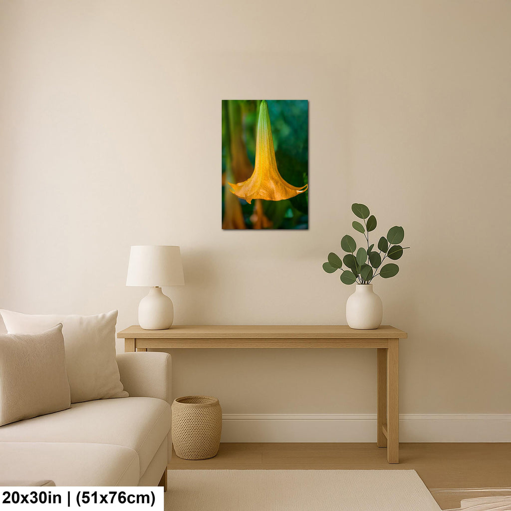 Golden Bell: Angel's Trumpet Flower Botanical Floral Photography Wall Art