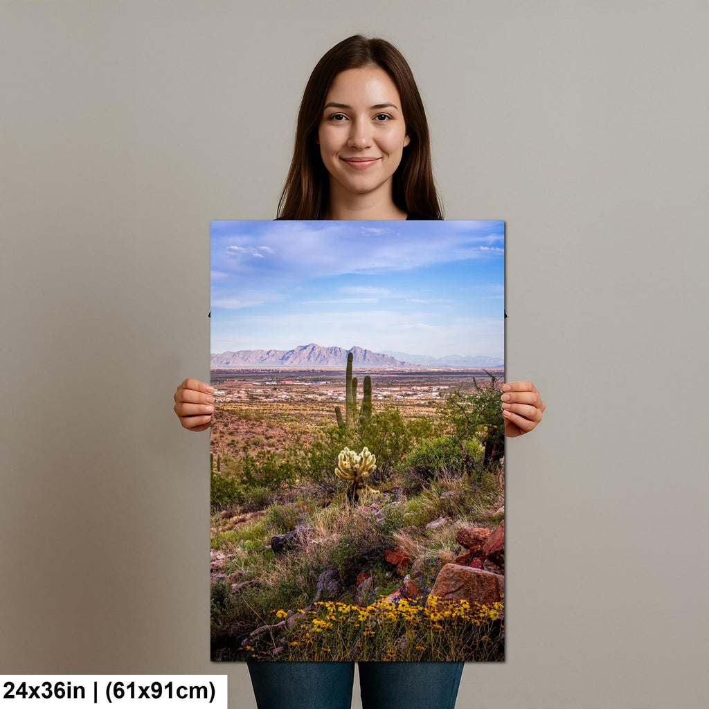 Mountain View Hike with Saguaros and Wildflowers, Casa Grande Arizona Desert Wall Art