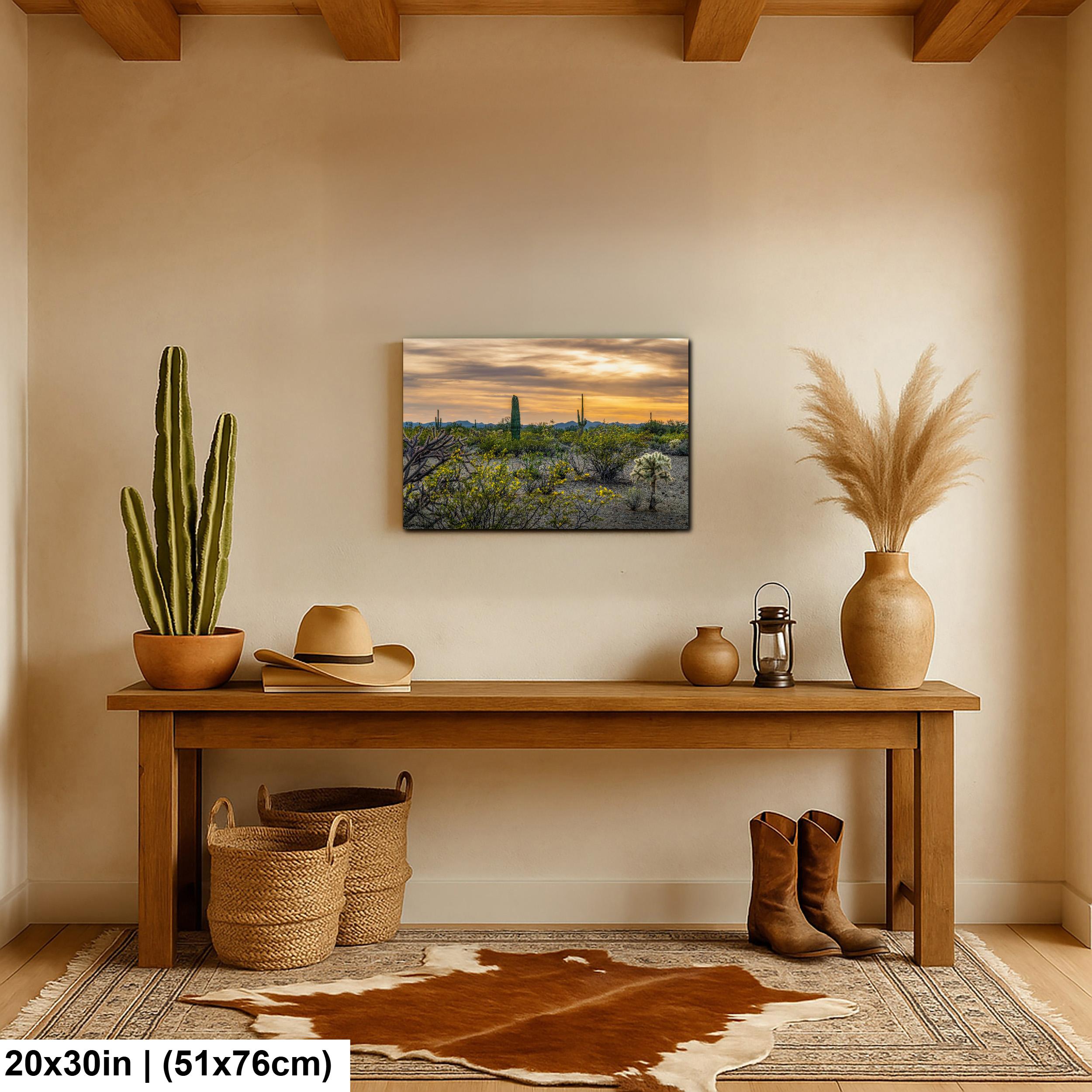 Spring Wildflowers and Saguaros at Dusk Tucson Arizona Photography Print