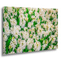Spring Whites: White Hyacinth Flowers Botanical Photography Wall Art