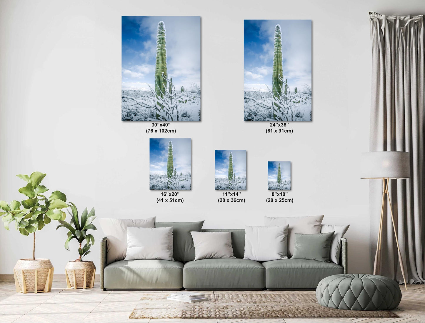 Black and White Saguaro Cactus Arizona Desert Photography Wall Art