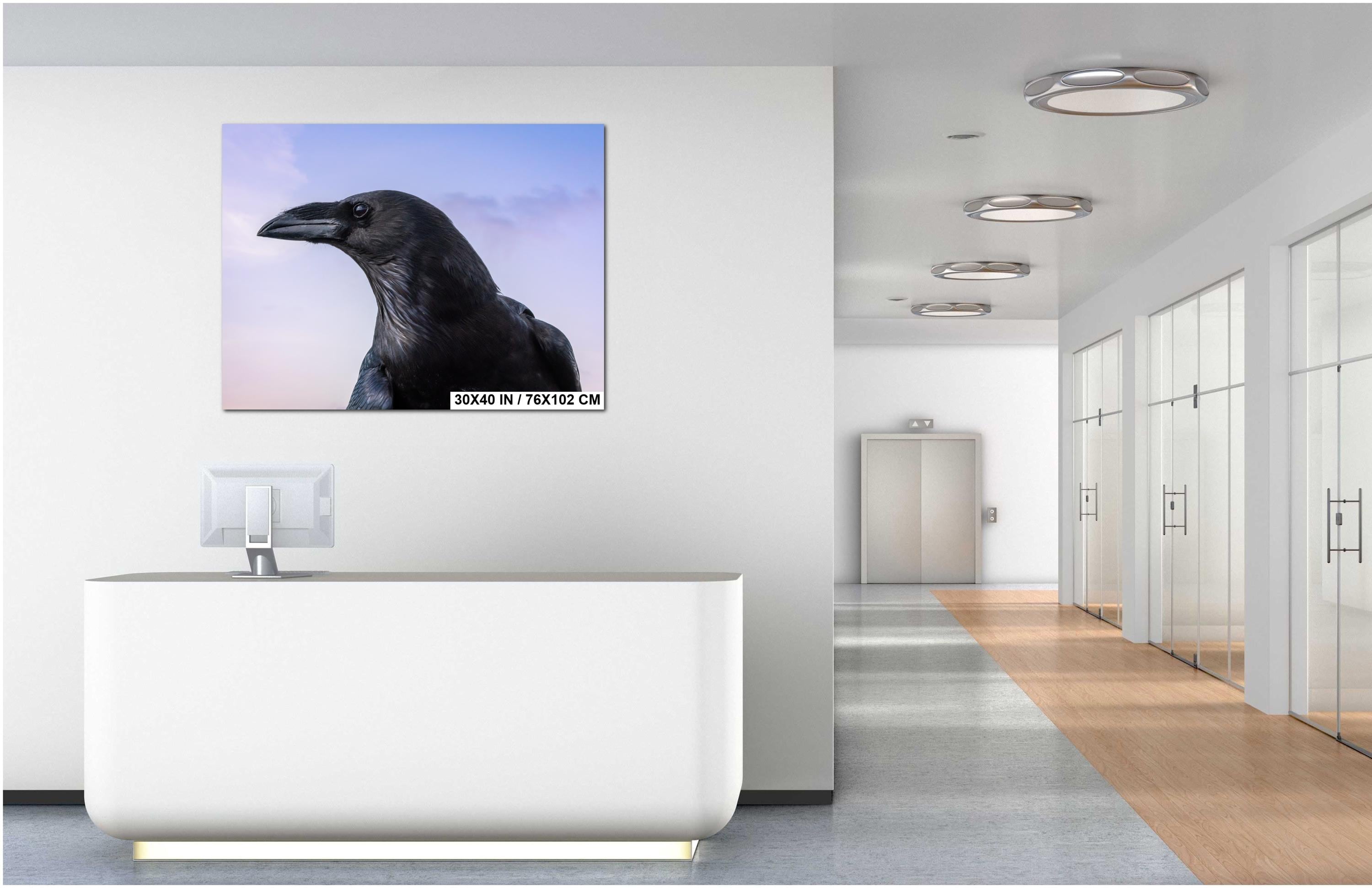 Raven Portrait Print: Arizona Desert Sky Wildlife Photography