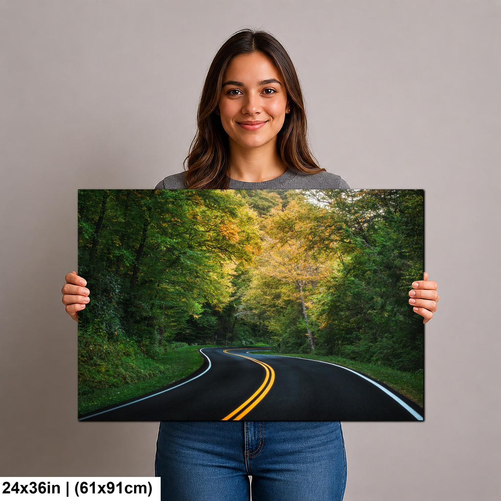 Winding Road Through Autumn Forest, Great Smoky Mountains National Park Tennessee Photography Print