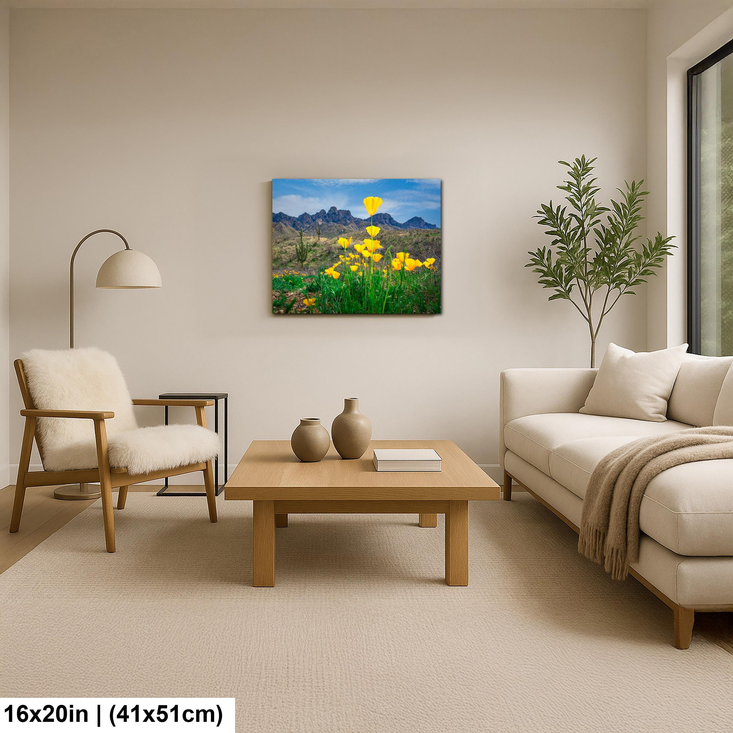 Arizona Poppies in Bloom with Saguaros and Mountains - Catalina State Park Tucson Photography Print