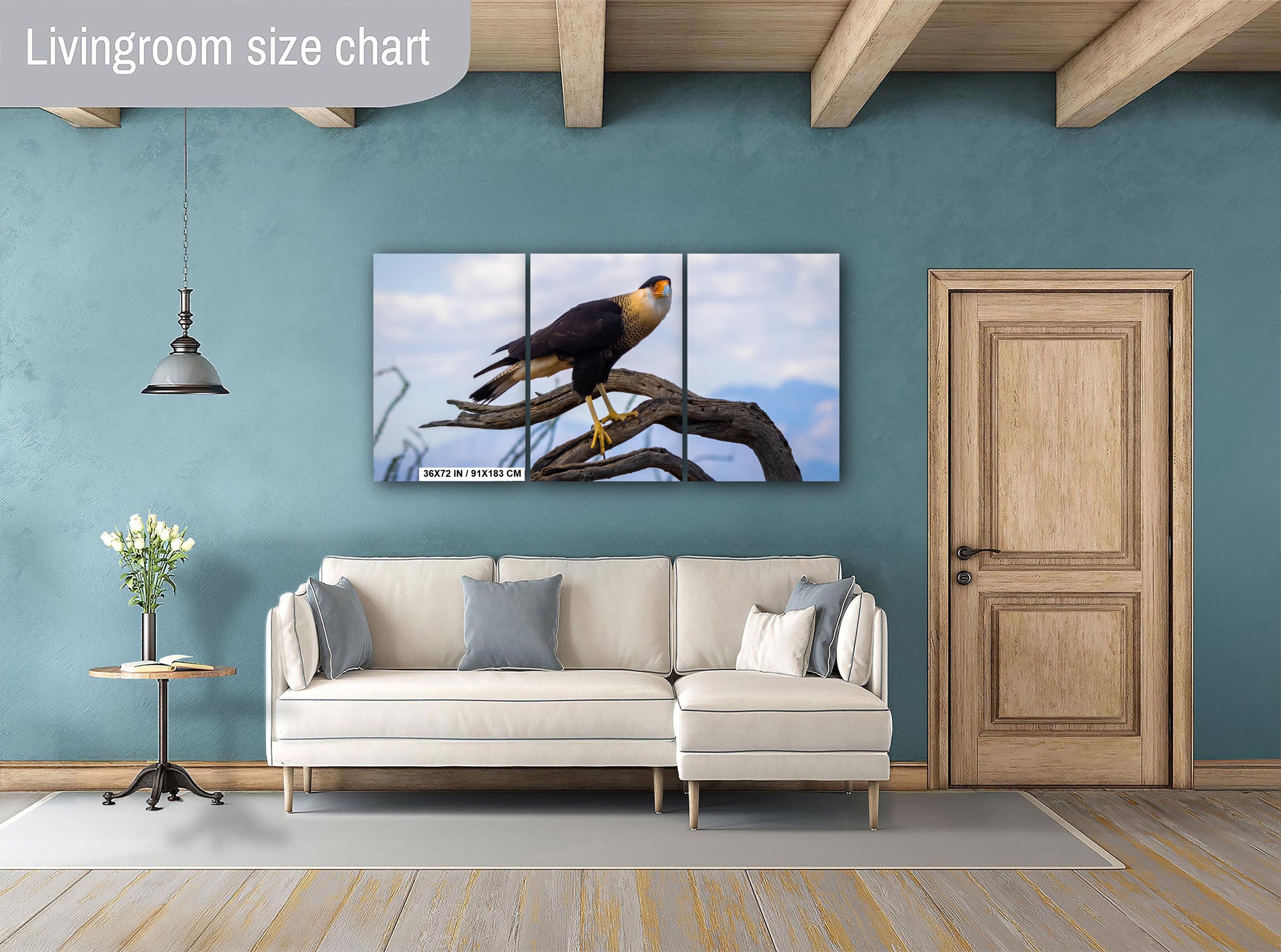 Crested Caracara Fine Art Print: Arizona Desert Wildlife Photography