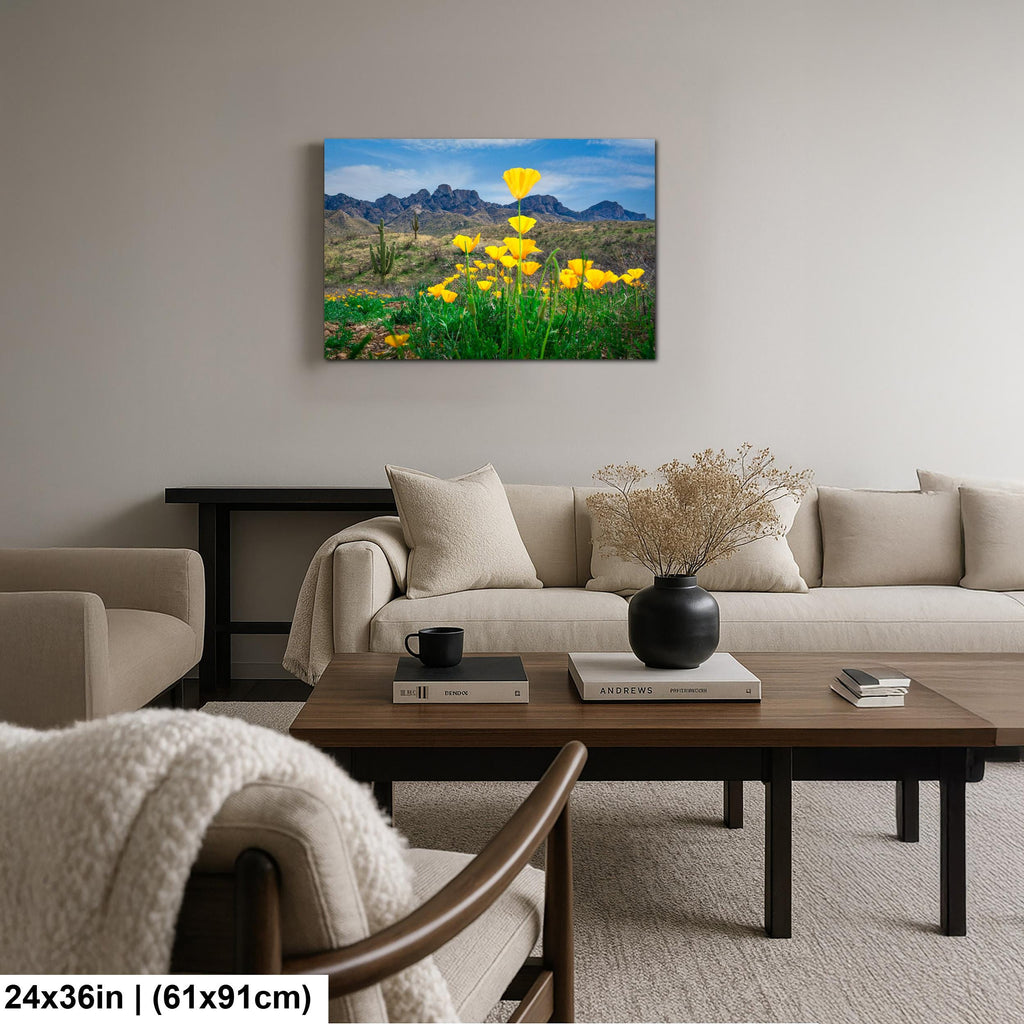 Arizona Poppies in Bloom with Saguaros and Mountains - Catalina State Park Tucson Photography Print