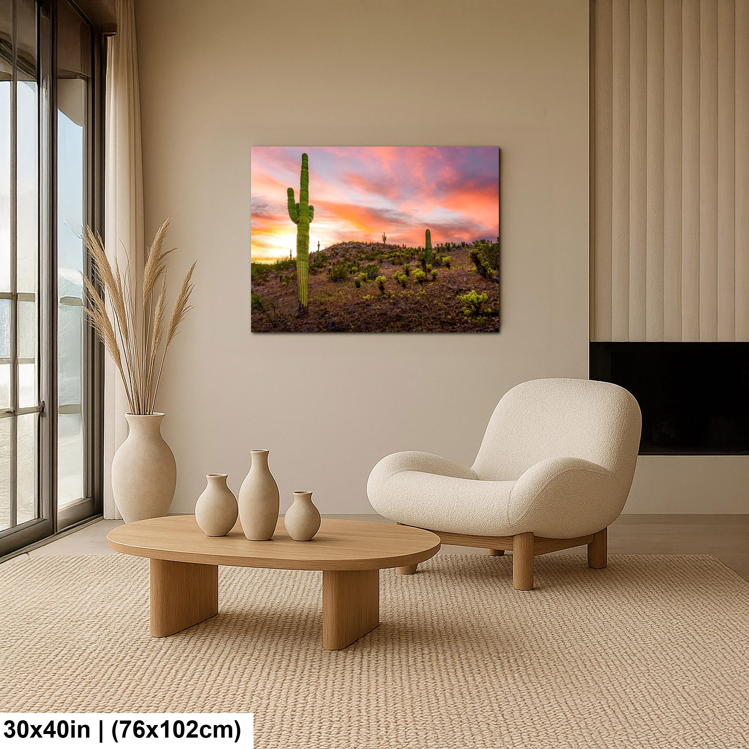 Towering Saguaro at Sunset - Sonoran Desert Casa Grande Arizona Photography Print