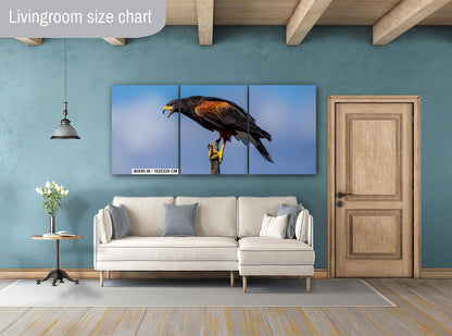 Harris's Hawk Desert Photography Print: Arizona Wildlife Art