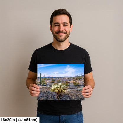 Teddy Bear Cholla in Bloom, Quartzsite Arizona Desert Landscape Photography Print