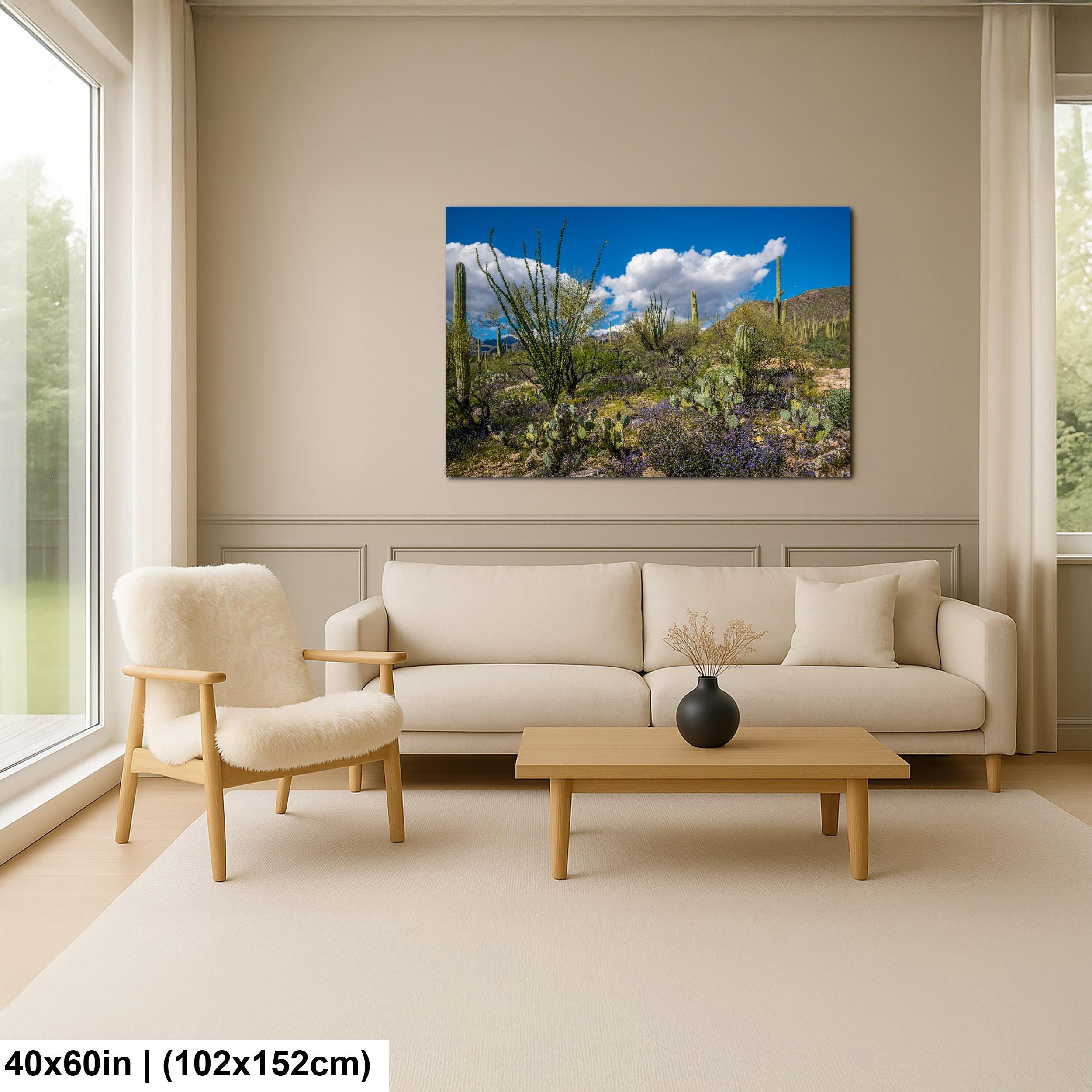 Sonoran Desert Spring Wildflowers with Saguaros - Sabino Canyon Tucson Arizona Photography Print