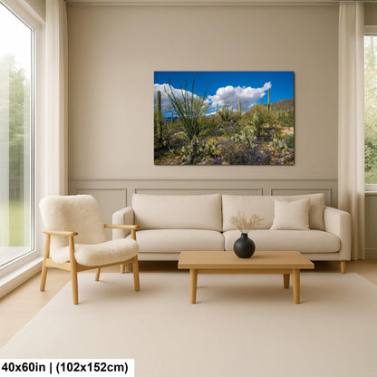 Sonoran Desert Spring Wildflowers with Saguaros - Sabino Canyon Tucson Arizona Photography Print