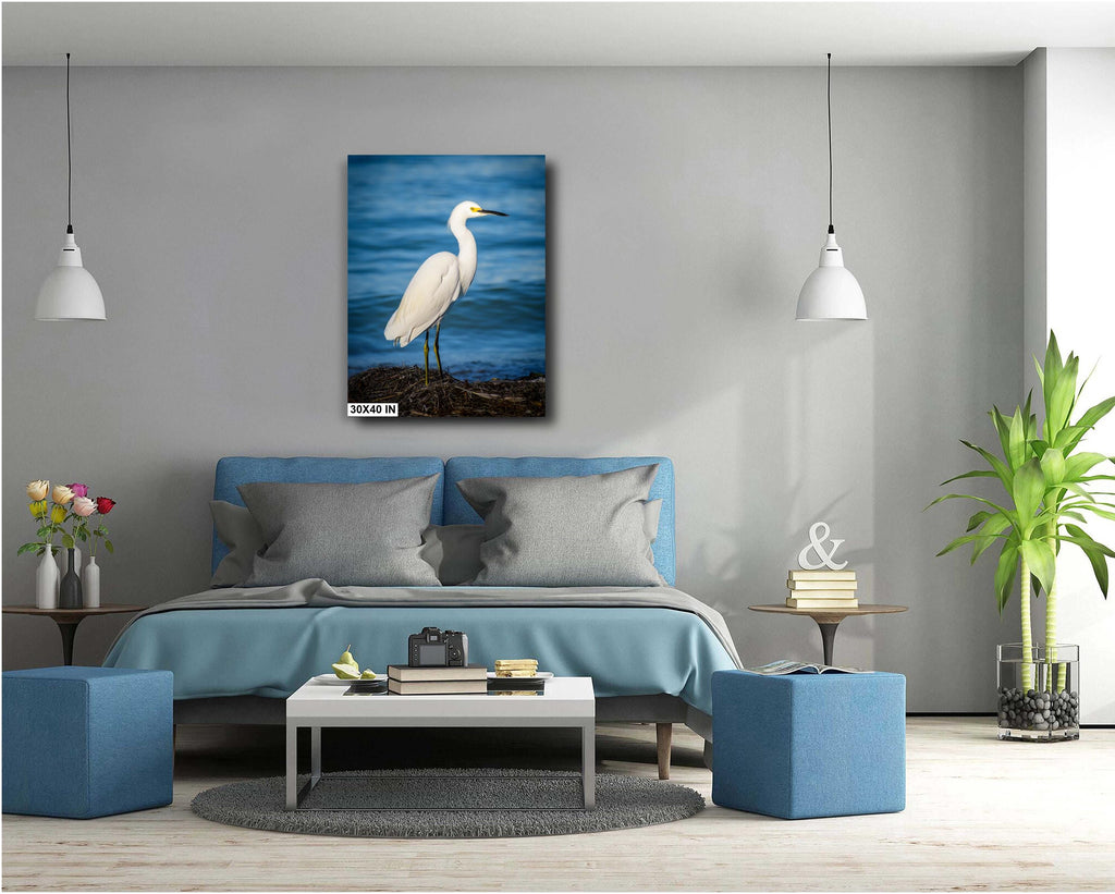 Pure As Driven Snow: Snowy Egret on the Shores of Anna Maria Florida Print Wall Art Seascape Bird Photography Aluminum/Acrylic/Metal/Canvas