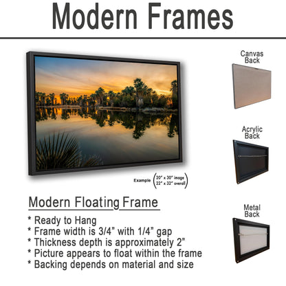 Agua Caliente Park Sunset Palm Oasis Reflection - Tucson Arizona Photography Print