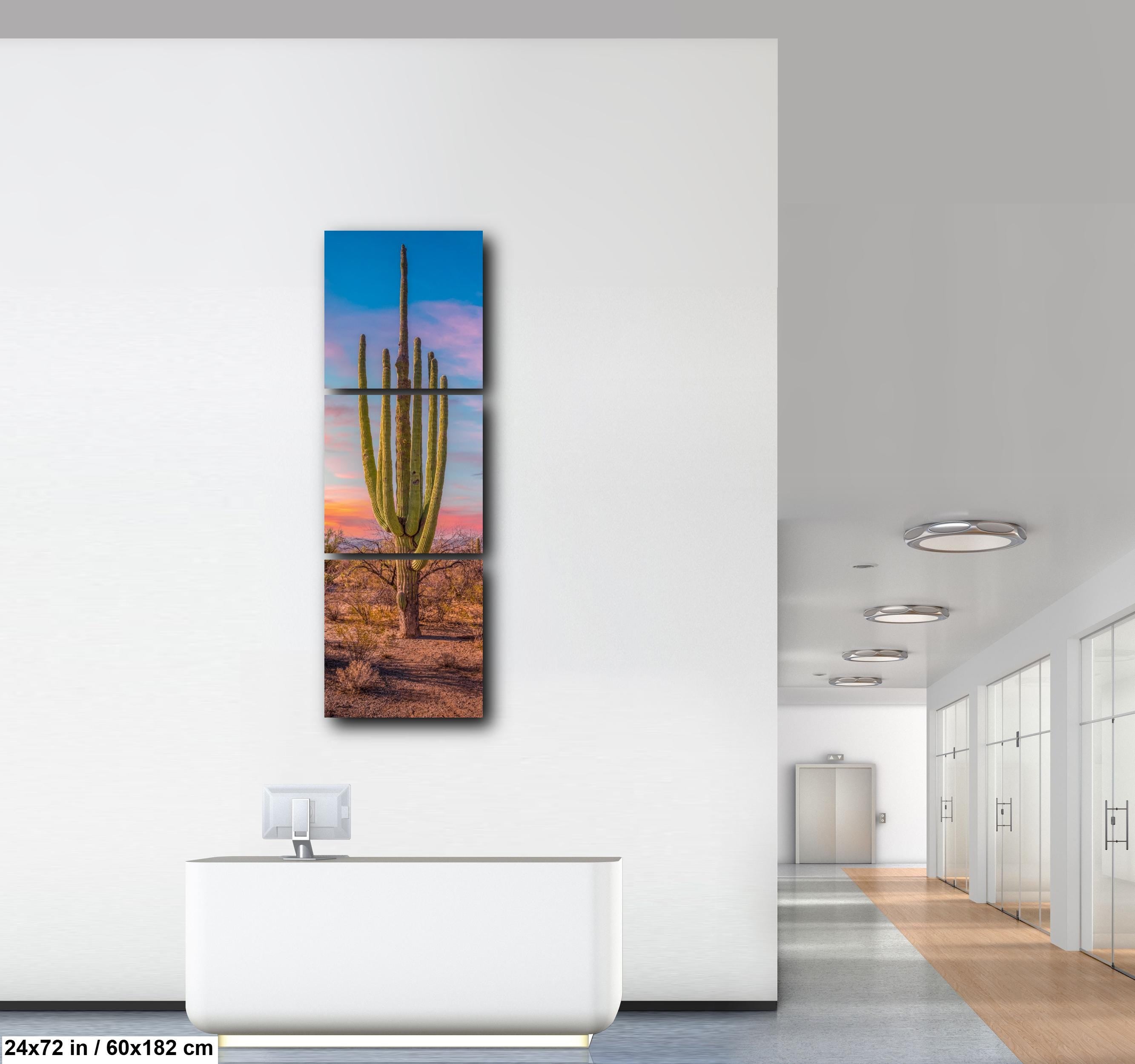 Multi-Arm Saguaro at Sunset - Saguaro National Park East Tucson Arizona Photography Print