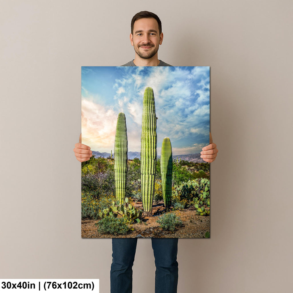 Towering Saguaros and Desert Sky, Saguaro National Park Tucson Arizona Photography Print