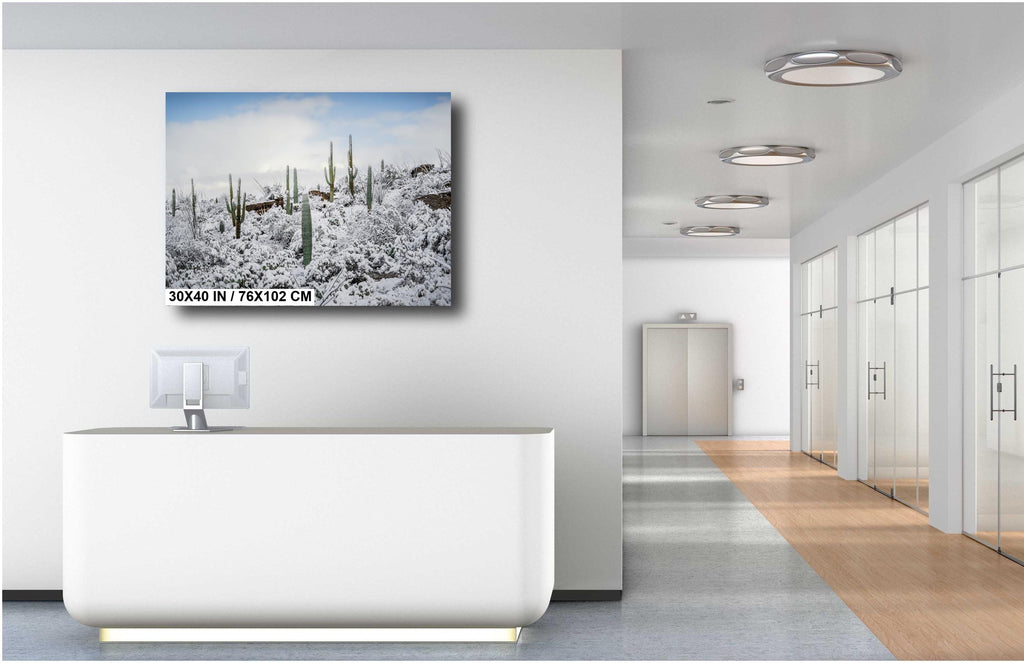 Saguaro National Park Winter Snow Cactus Landscape Art Print