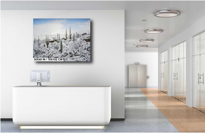 Desert Giants in Winter White: Saguaro National Park Print Wall Art Tucson Cactus Snow Landscape Photography Aluminum/Acrylic/Metal/Canvas