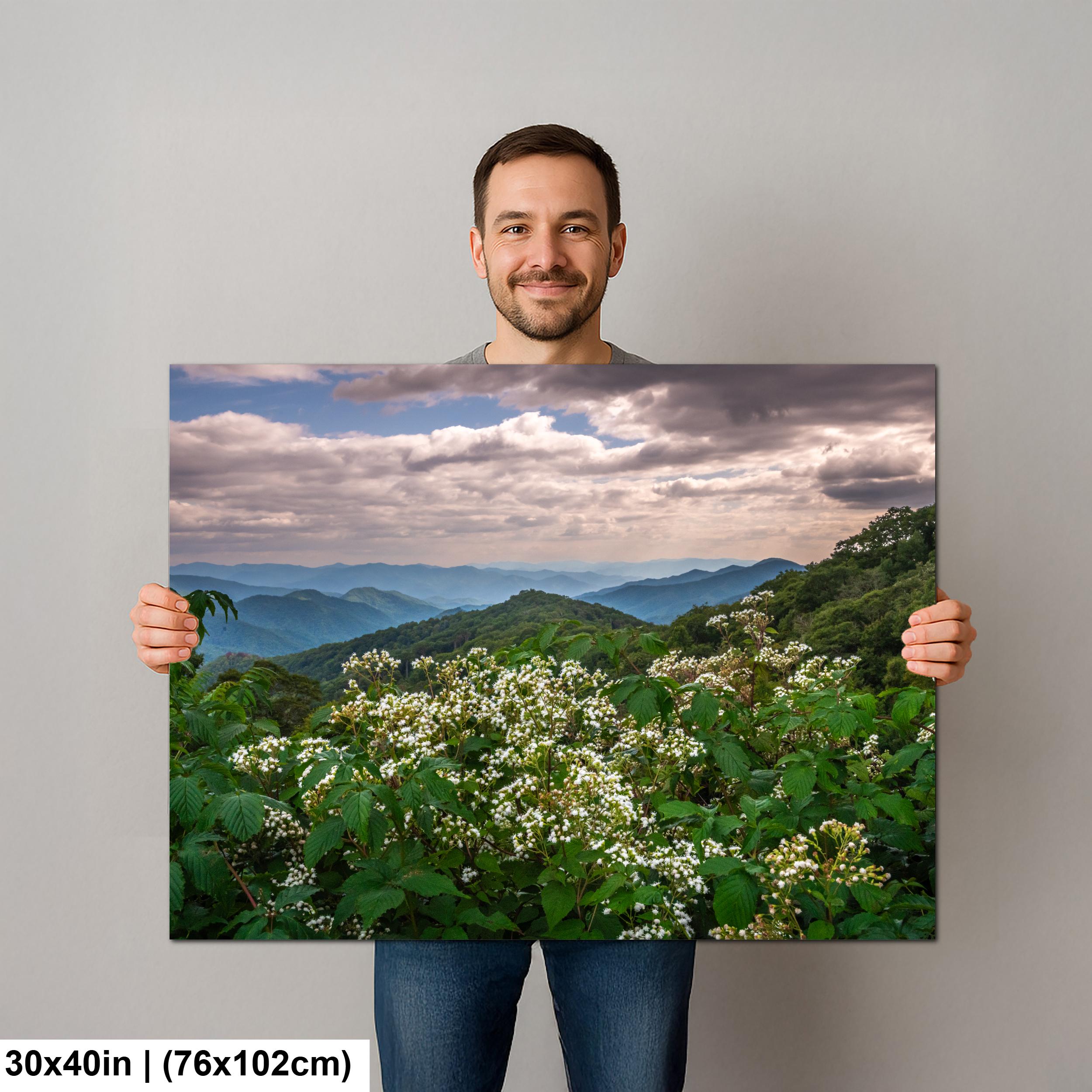 Mountain Meadow: Wildflowers Great Smoky Mountains Tennessee Photo Wall Art