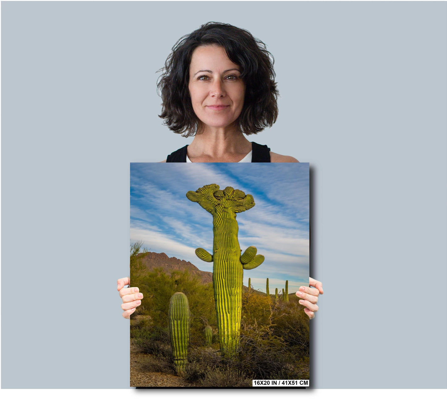 All Hail King Cacti! Giant Saguaro Cactus Tucson Mountain Park Arizona Wall Art Print Arizona Desert  Southwestern Aluminum/Metal/Canvas