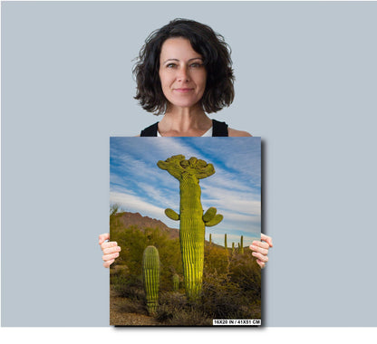 All Hail King Cacti! Giant Saguaro Cactus Tucson Mountain Park Arizona Wall Art Print Arizona Desert  Southwestern Aluminum/Metal/Canvas