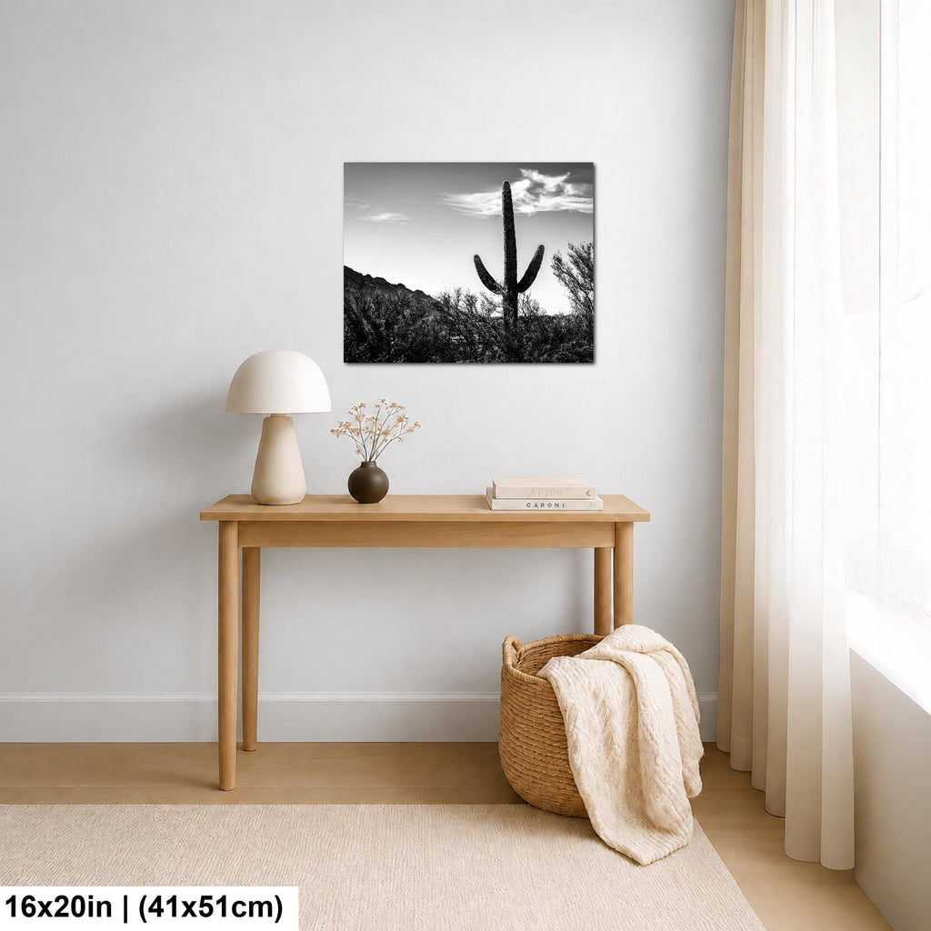Desert Sentinel: Saguaro Cactus Oro Valley AZ Black White Photo Wall Art