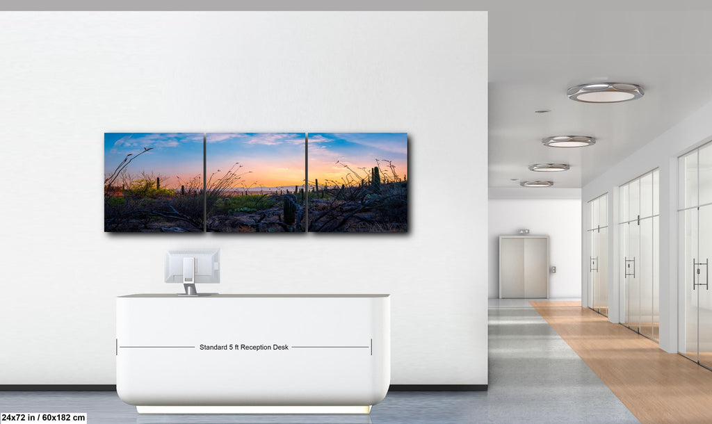 Sonoran Desert Sunset with Saguaros and Ocotillo - Saguaro National Park East Tucson Photography Print