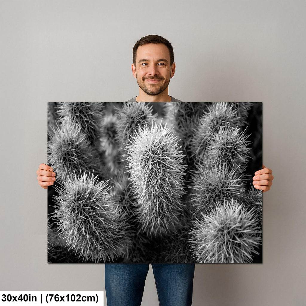 Cholla Cactus Spines Black and White - Saguaro National Park East Tucson Photography Print