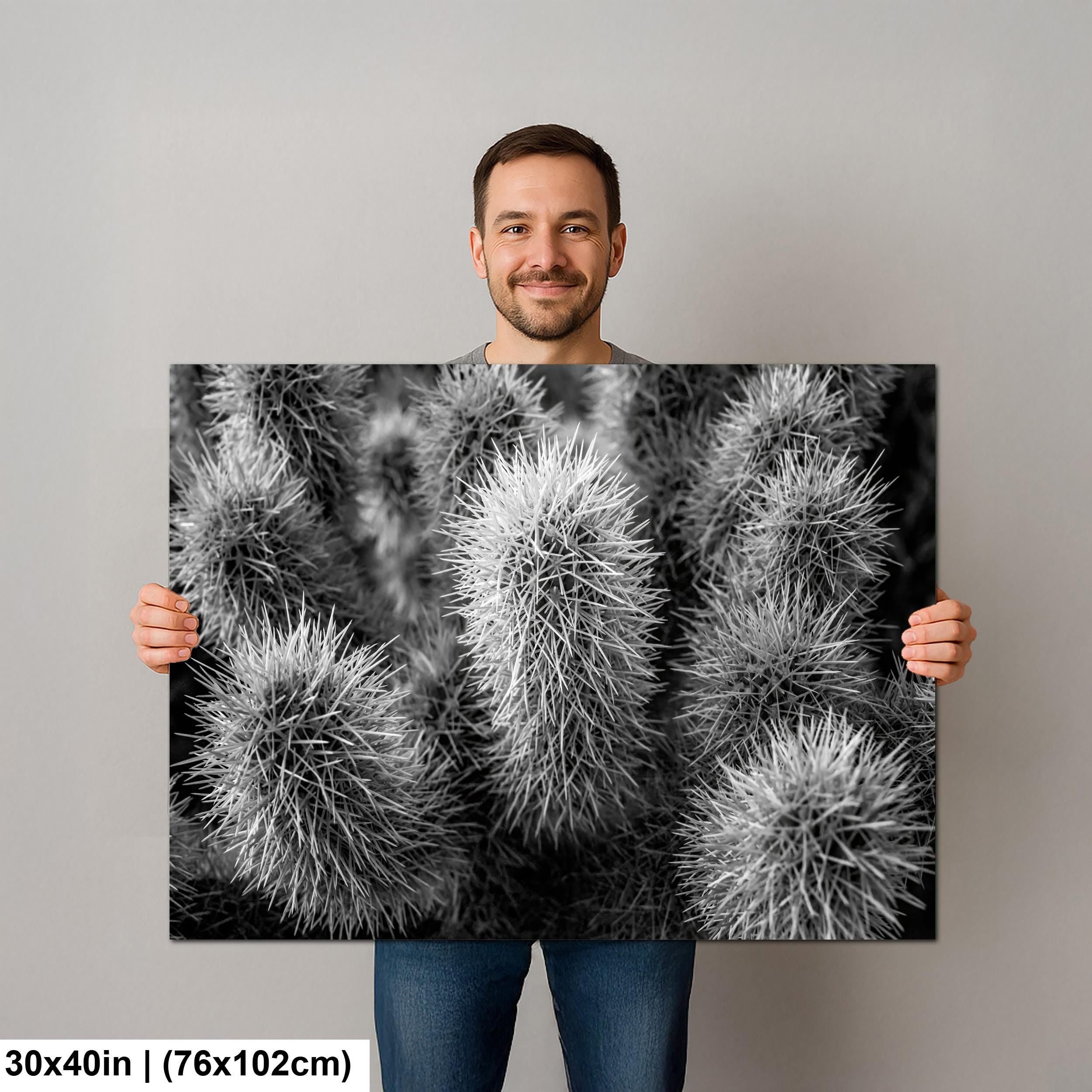 Cholla Cactus Spines Black and White - Saguaro National Park East Tucson Photography Print