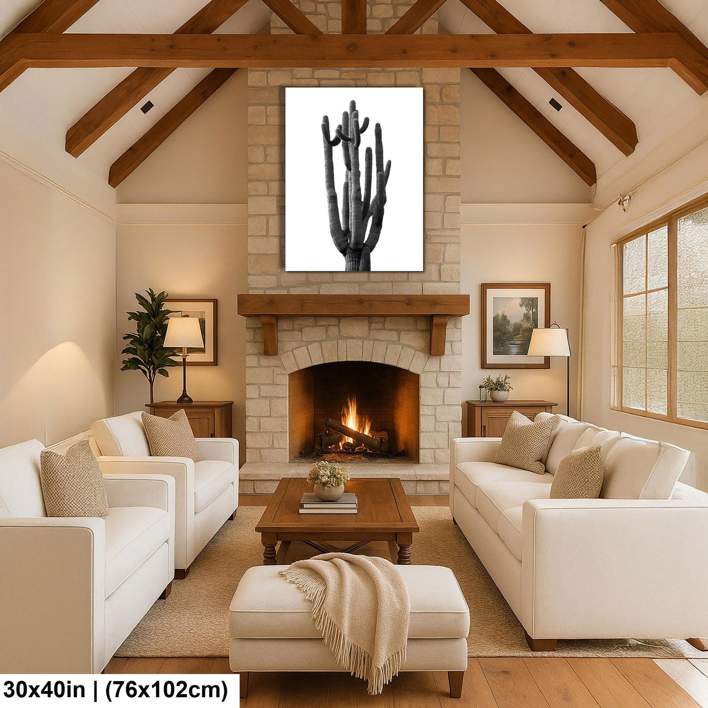 Towering Cactus Catalina State Park Arizona Black White Desert Wall Art