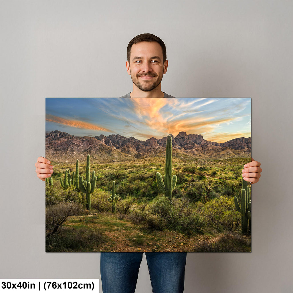 Santa Catalina Mountains with Saguaros Photography Print, Catalina State Park Tucson Arizona Desert Landscape Wall Art