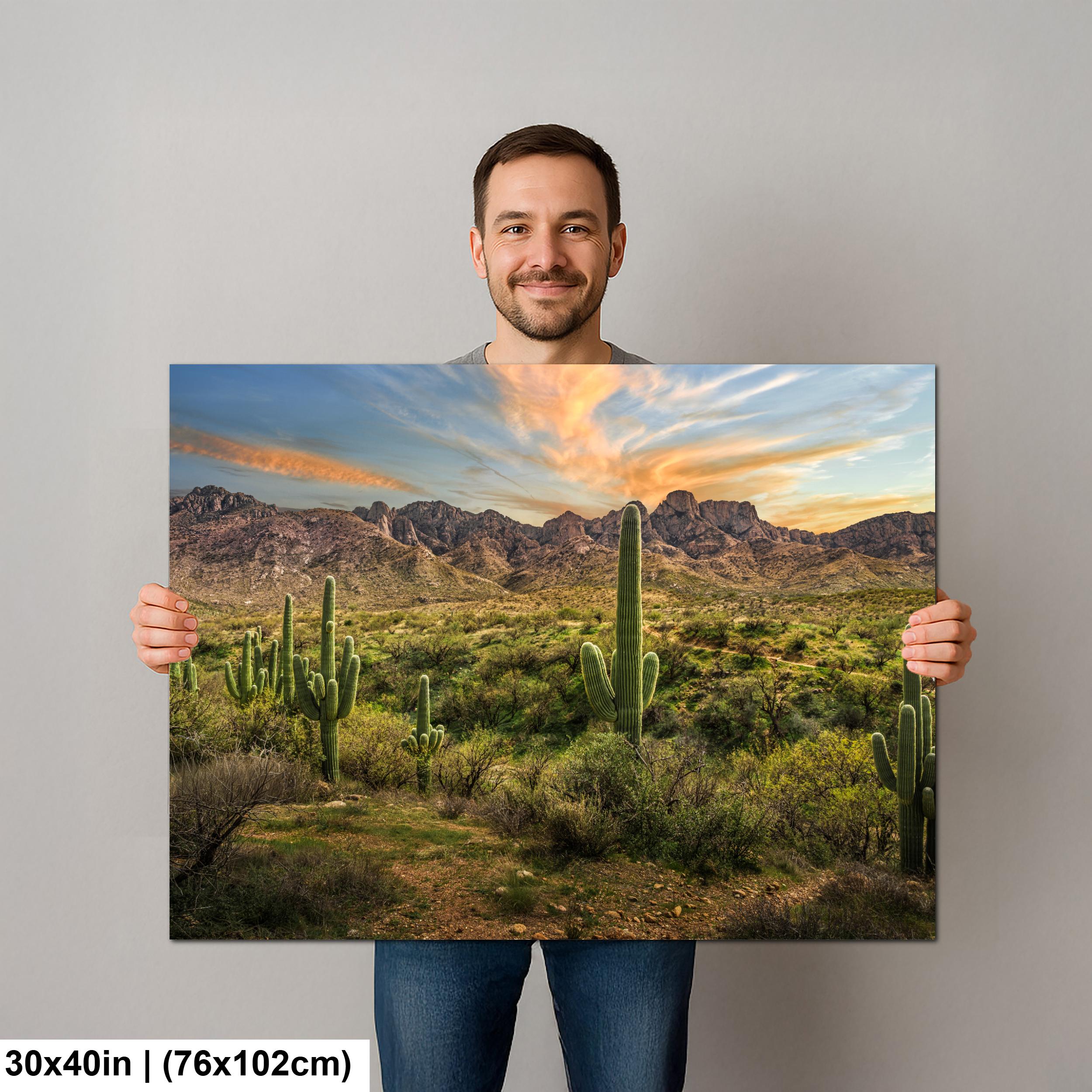 Santa Catalina Mountains with Saguaros Photography Print, Catalina State Park Tucson Arizona Desert Landscape Wall Art