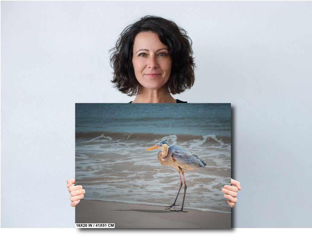 A wall art print featuring a great blue heron standing on a beach with the ocean in the background.