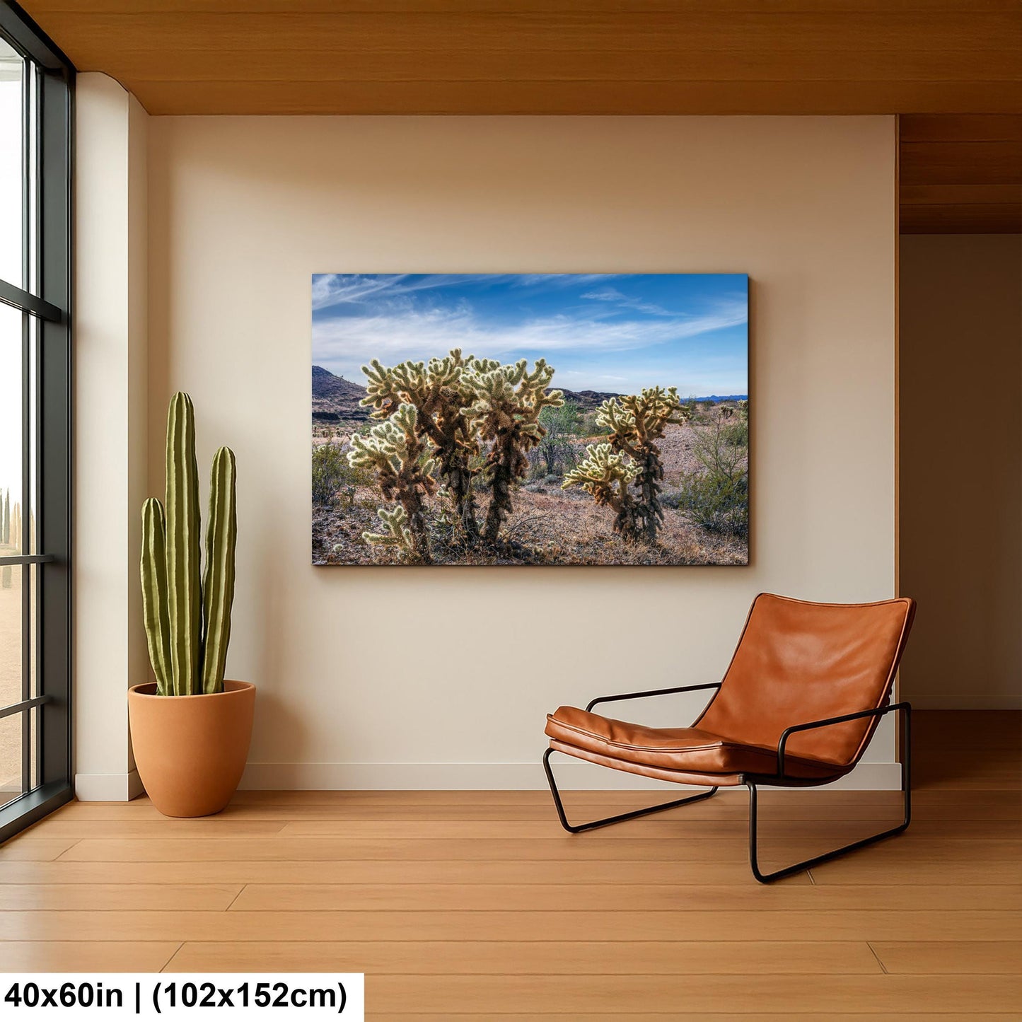 Teddy Bear Cholla Cactus Sonoran Desert Arizona Photography Print, Southwest Wall Art