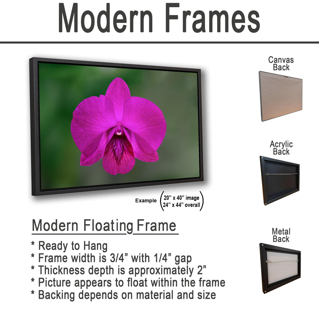 Violet Beauty: Purple Orchid Flower Botanical Floral Photography Wall Art
